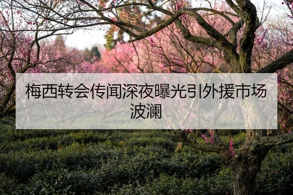 梅西转会传闻深夜曝光引外援市场波澜