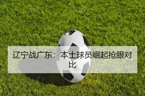 辽宁战广东：本土球员崛起抢眼对比 | leyutiyu